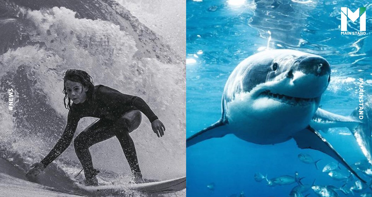 SharkAttackSurfer